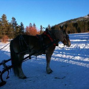 Meet your Posher, Bev